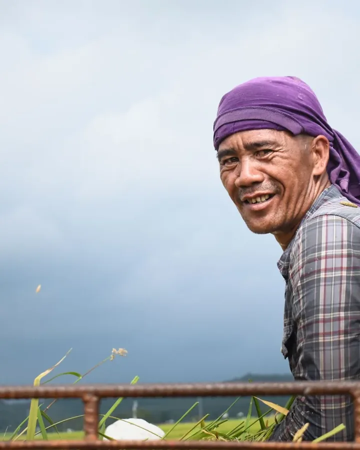 Dự án gần đây